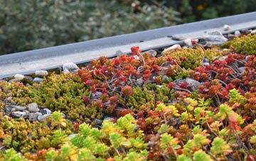 the cost of Pont Yr Hafod green roof installation
