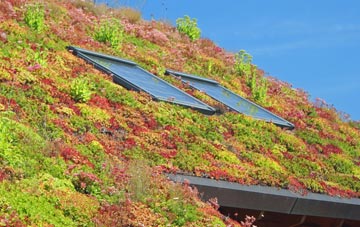 Pont Yr Hafod living roof systems